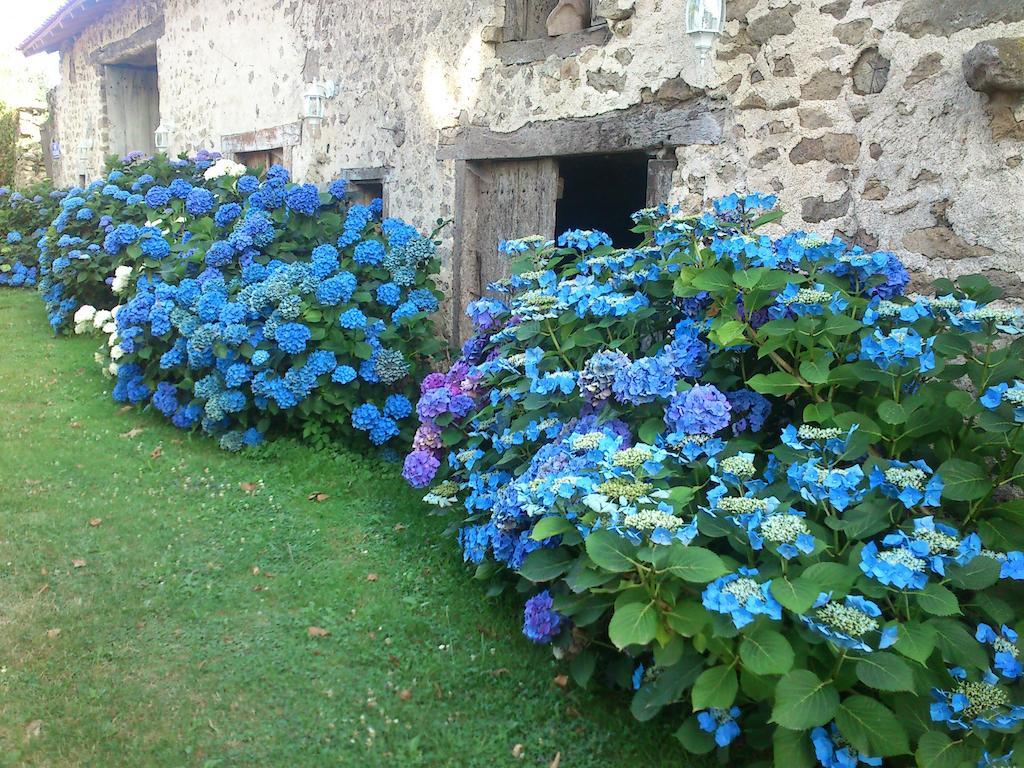 Le Domaine De Panissac Berneuil (Limousin) Exterior foto